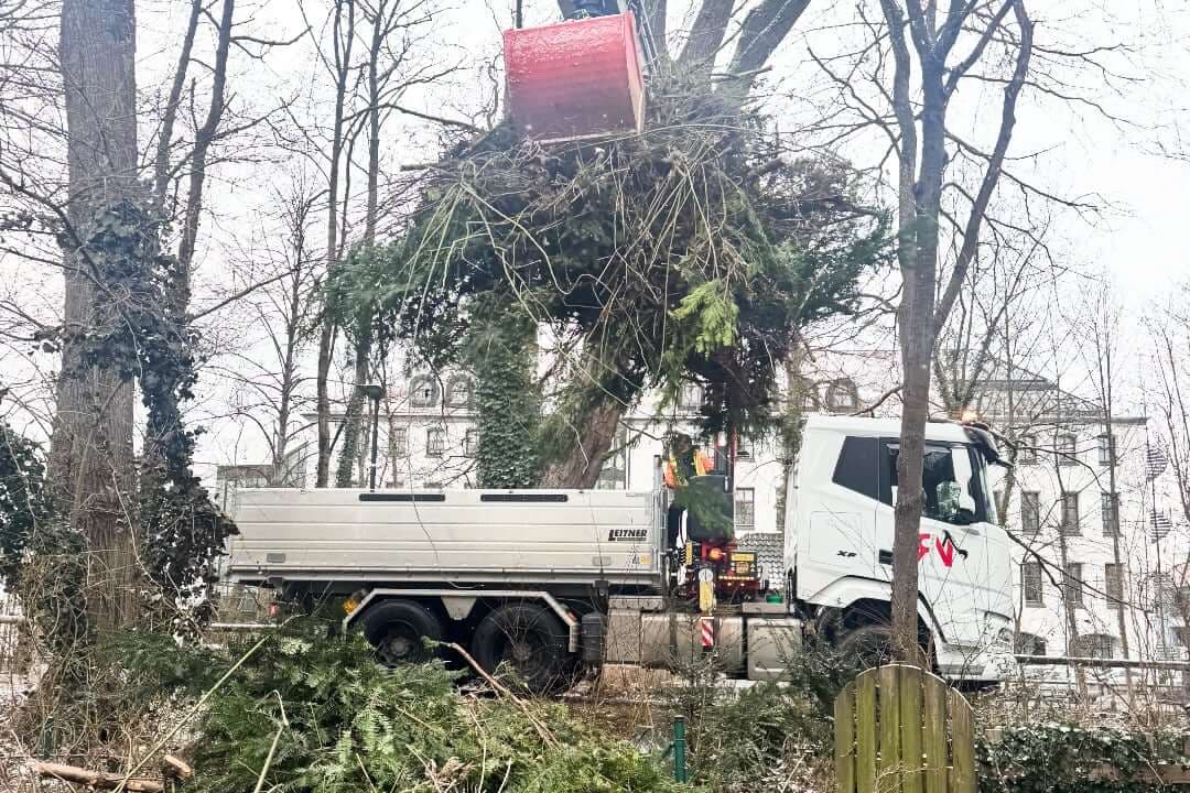 Transporte – Bild 5